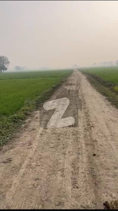 بیدیاں روڈ لاہور میں 80 کنال زرعی زمین 7.0 کروڑ میں برائے فروخت۔