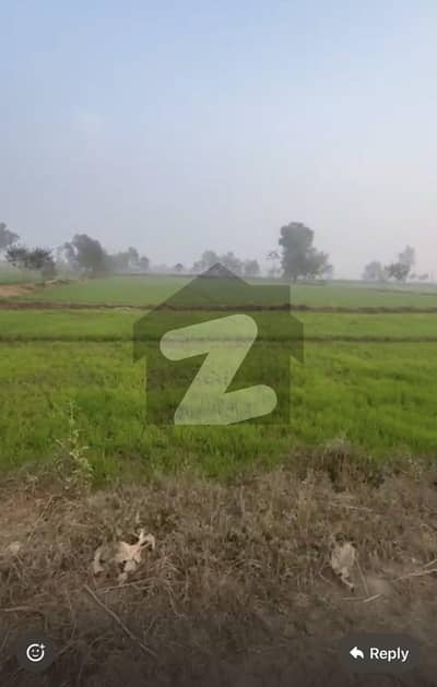 بیدیاں روڈ لاہور میں 40 کنال زرعی زمین 6.25 کروڑ میں برائے فروخت۔