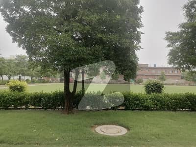 واپڈا سٹی ۔ بلاک جی واپڈا سٹی,فیصل آباد میں 1 کنال رہائشی پلاٹ 3.15 کروڑ میں برائے فروخت۔