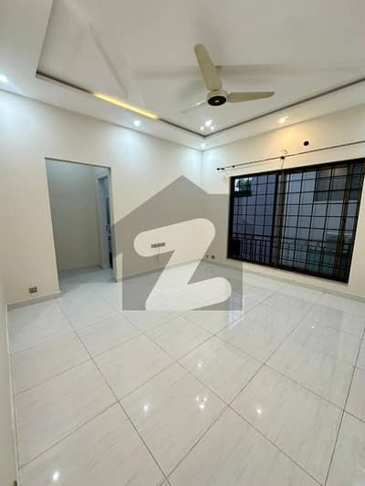 Brand New Basement Lower Portion Available For Rent