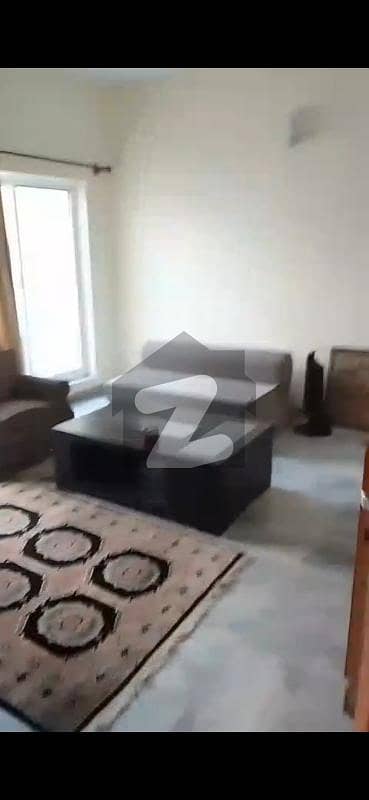 Beautiful House Is Available For Rent Beautiful House Is Available For Rent