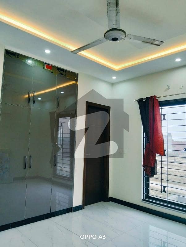 House For Rent In Nfc House For Rent In Nfc