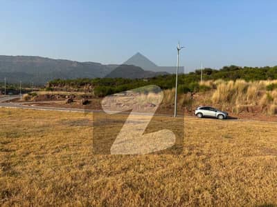 Beautiful Level & Possession Plot in Sector D