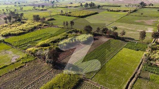 Rare Mega Land Deal! 50 Acres Near Jassoana Bangla Satiana to Jaranwala Road | Front Main Canal | Double Road | Best for Housing Society & Luxury Farmhouses