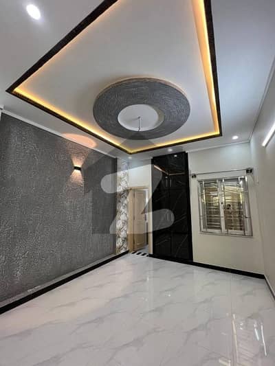 Fresh Untouch House For Rent