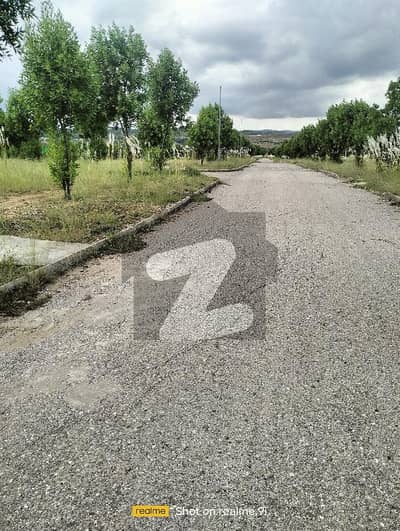 Dha valley  8 Marla beautiful location