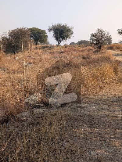 بلکاسار چکوال میں 160 کنال زرعی زمین 3.2 کروڑ میں برائے فروخت۔