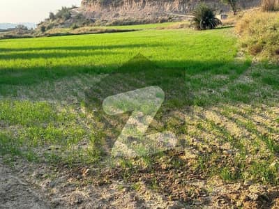 بلکاسار چکوال میں 1300 کنال زرعی زمین 39.0 کروڑ میں برائے فروخت۔