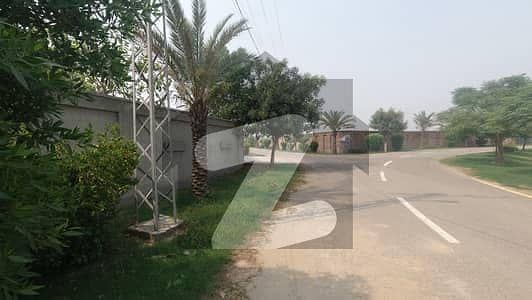 بیدیاں روڈ لاہور میں 6 کنال رہائشی پلاٹ 1.7 کروڑ میں برائے فروخت۔