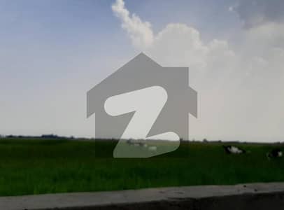 نارنگ منڈی روڈ لاہور میں 315 کنال زرعی زمین 50.0 کروڑ میں برائے فروخت۔