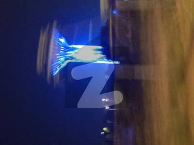 10 Marla Heighted & Non-Corner Plot for Sale on (Urgent Basis) on (Investor Rate) in Sector F Near Family Park in DHA 05 Islamabad