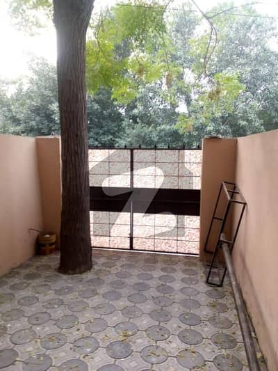 جوہر ٹاؤن لاہور میں 3 کمروں کا 5 مرلہ مکان 55.5 ہزار میں کرایہ پر دستیاب ہے۔