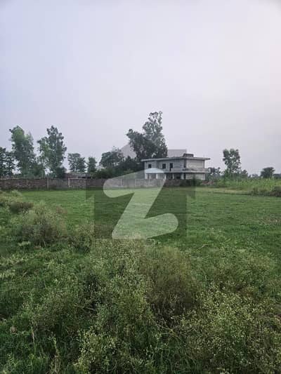 8 Kanal Original Dairy Farm for Sale Bedian Road Lahore Lowest Price