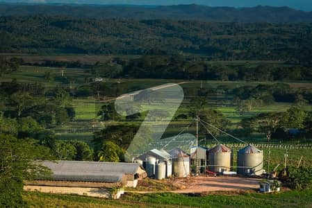 ڈی ایچ اے 11 رہبر فیز 2 ڈی ایچ اے 11 رہبر,لاہور میں 5 مرلہ رہائشی پلاٹ 79.0 لاکھ میں برائے فروخت۔