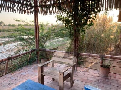 دھابیجی ٹھٹھہ میں 5 کمروں کا 10 کنال فارم ہاؤس 1.5 کروڑ میں برائے فروخت۔