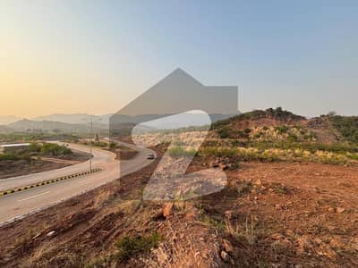 Adjacent Maira-II Forest | Double Road | Park Face