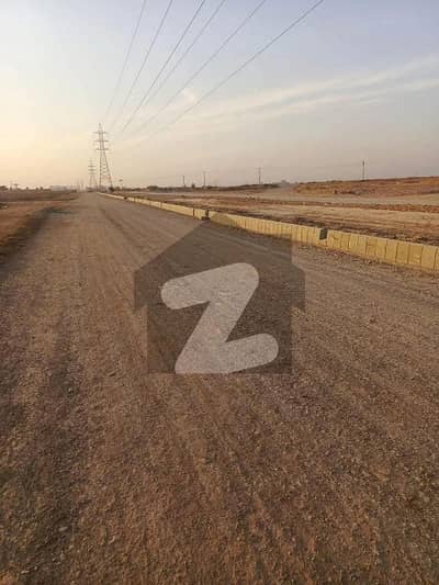 50 Feet Road Nice Location Level Plot