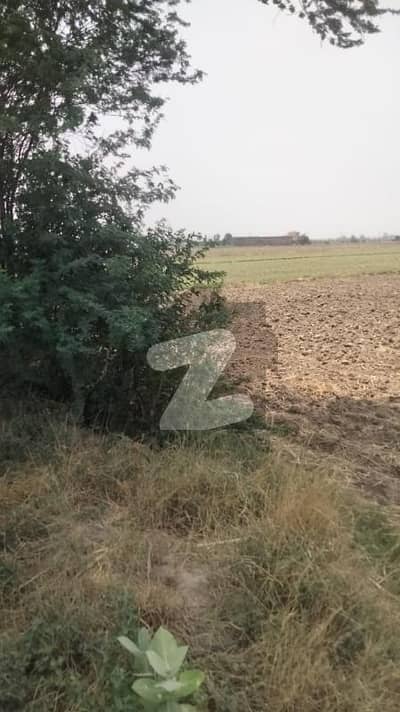 بیدیاں روڈ لاہور میں 1 کنال رہائشی پلاٹ 43.75 لاکھ میں برائے فروخت۔