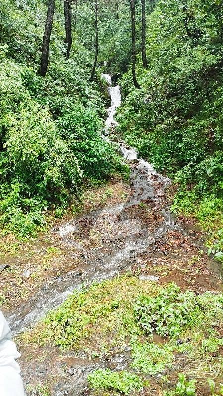 Possession Plot Possession Plot