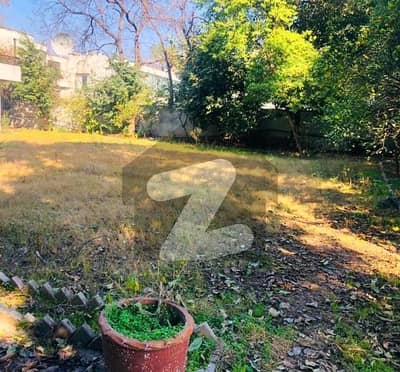 Investor Price 2 Kanal House is for SALE