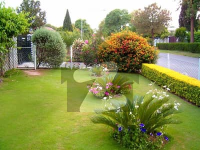 Investor Rate House Is For SALE In F-6