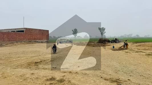 2 KANAL PLOT MOZA JAMAN DAIRY FARM CATTLE FARM BIRD FARM PLOT SALE