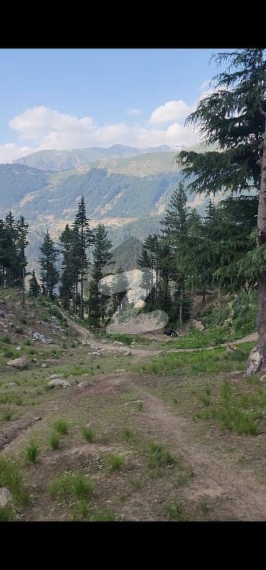 10 Marla ,plot for sale beck side hill top kabir hotel kalam