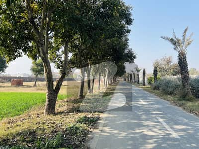 بیدیاں روڈ لاہور میں 2 کنال رہائشی پلاٹ 2.3 کروڑ میں برائے فروخت۔