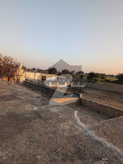 بلکاسار چکوال میں 3 کمروں کا 16 کنال فارم ہاؤس 2.5 کروڑ میں برائے فروخت۔