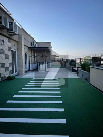 Furnished Pent House For Rent In F11