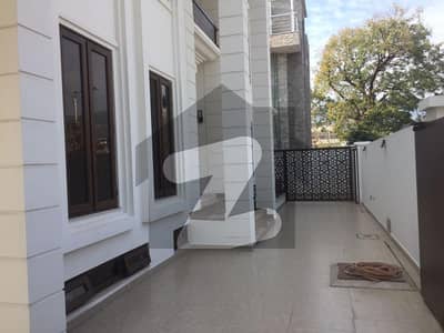 5 Bed Ground + Basement Brand New For Rent