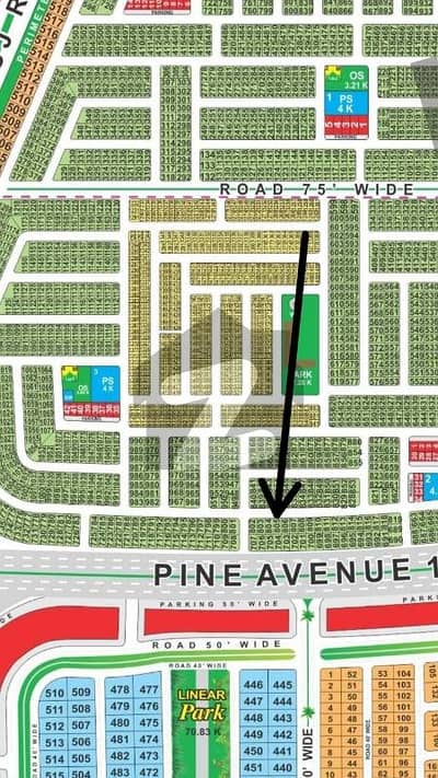 L Block 10 Marla Possession Plot Available Back To 150ft Pine Aune Road