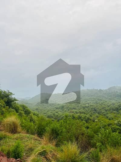 Buying A Plot File In Naval Farms Housing Scheme?