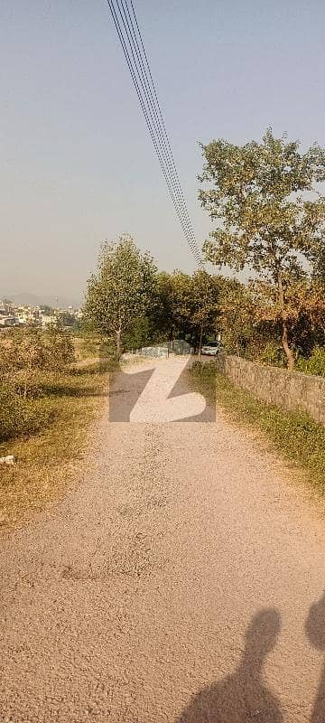 5 Kenal Land Bani Gala North For Sale Good Location