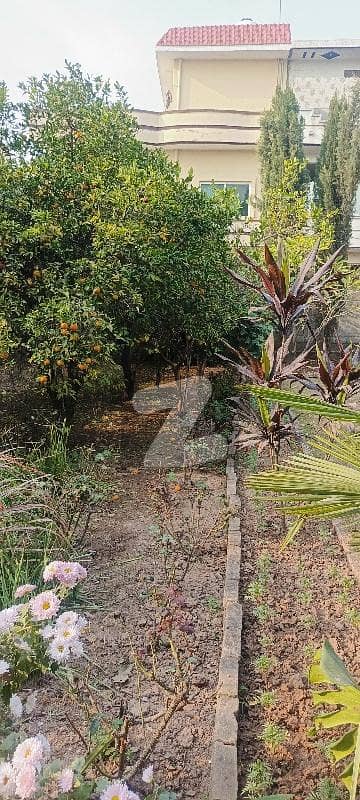 Reserve A Centrally Located House In Bhara kahu