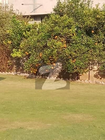 زمان کالونی لاہور میں 8 کمروں کا 1 کنال مکان 6.0 کروڑ میں برائے فروخت۔