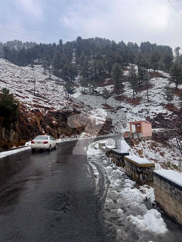 ایوبیہ روڈ مری میں 3 کنال کمرشل پلاٹ 6.0 کروڑ میں برائے فروخت۔ ایوبیہ روڈ مری میں 3 کنال کمرشل پلاٹ 6.0 کروڑ میں برائے فروخت۔