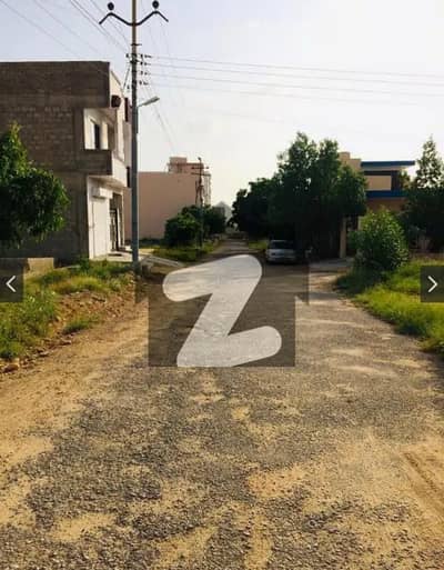 Plot For Sale Zeenatabad Society Sector 19A