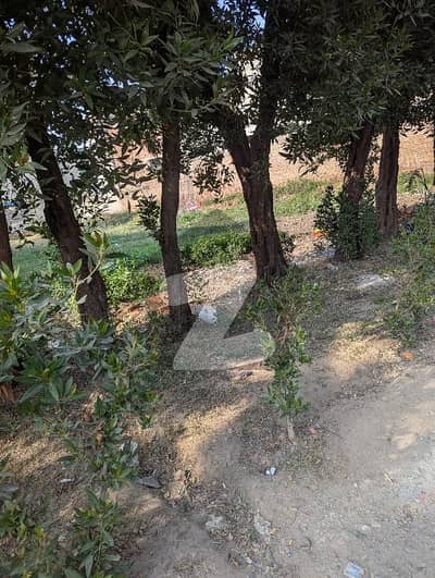 32 Marla Plot For Hostel Location Near Punjab Collage