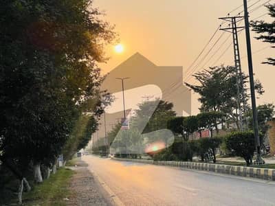 SOUTH facing Plot Near to Double Road Sector 3D2 Ideal Location for Construction