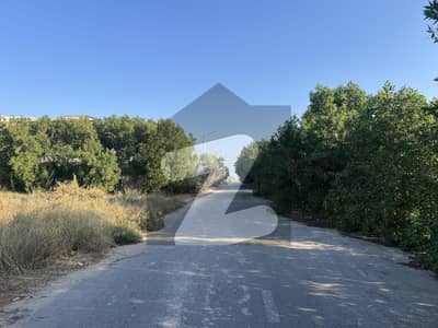 2000 Yards Plot For Sale In Zone A