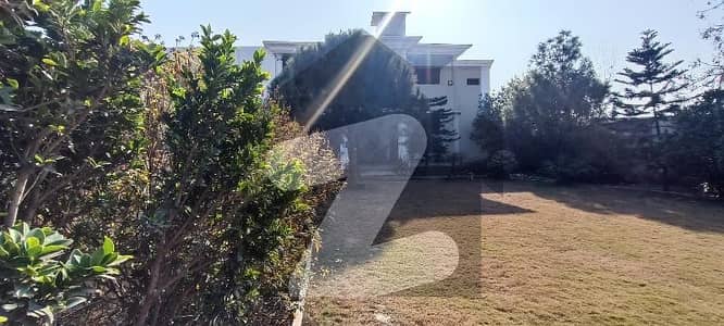 House Of 44 Marla Is Available For Sale In Taru Jabba