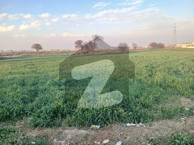 روات اسلام آباد میں 115 کنال زرعی زمین 30.0 کروڑ میں برائے فروخت۔