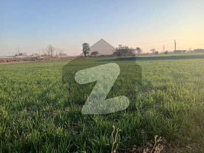 110 Kanal Flat Agricultural land for sale near Rawat-Behind Radio Pakistan