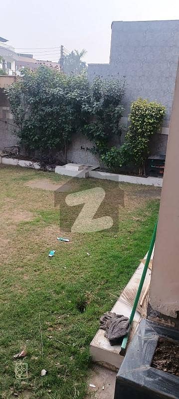 Beauty Villas Available For Rent