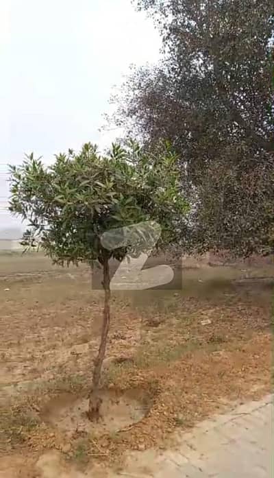 پی سی ایس آئی آر ہاؤسنگ سکیم فیز 2 پی سی ایس آئی آر ہاؤسنگ سکیم,لاہور میں 15 مرلہ دفتر 6.5 کروڑ میں برائے فروخت۔