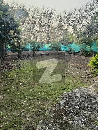 F10 House With Extra-land