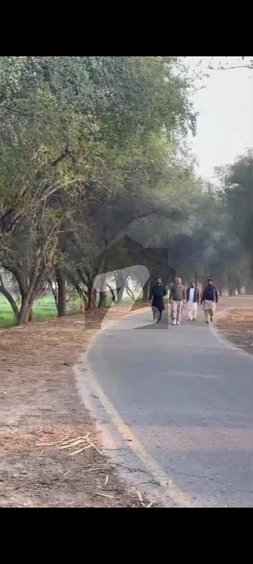 Bhakkar tehsil Kalur Kot high class agricultural (90 akar)=720 kanal land for sale.