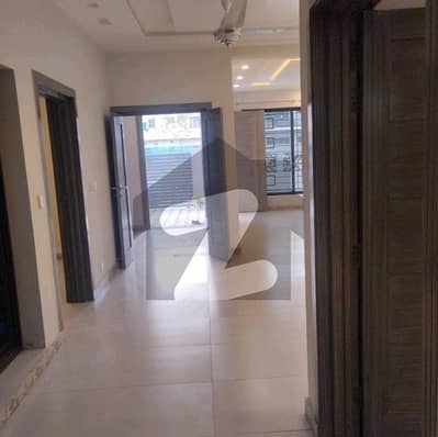 Ideal House For rent In D-12