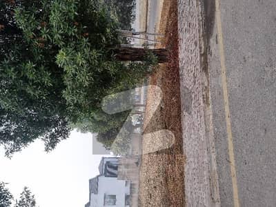 80' Road 1 KANAL Plot For Sale In JASMINE BLOCK
